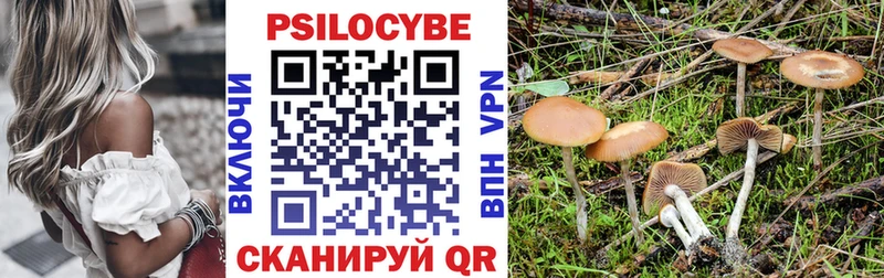 Галлюциногенные грибы Magic Shrooms  где купить наркотик  Харабали 
