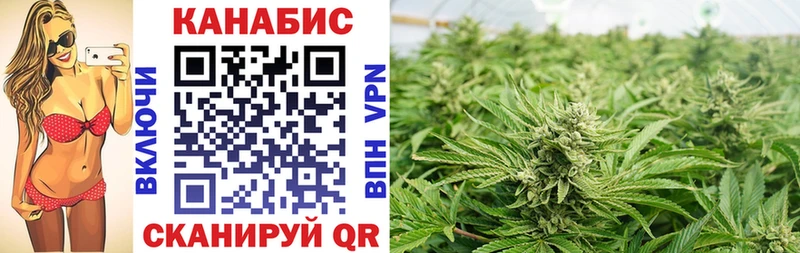 OMG ТОР  darknet официальный сайт  Конопля сатива  Харабали 